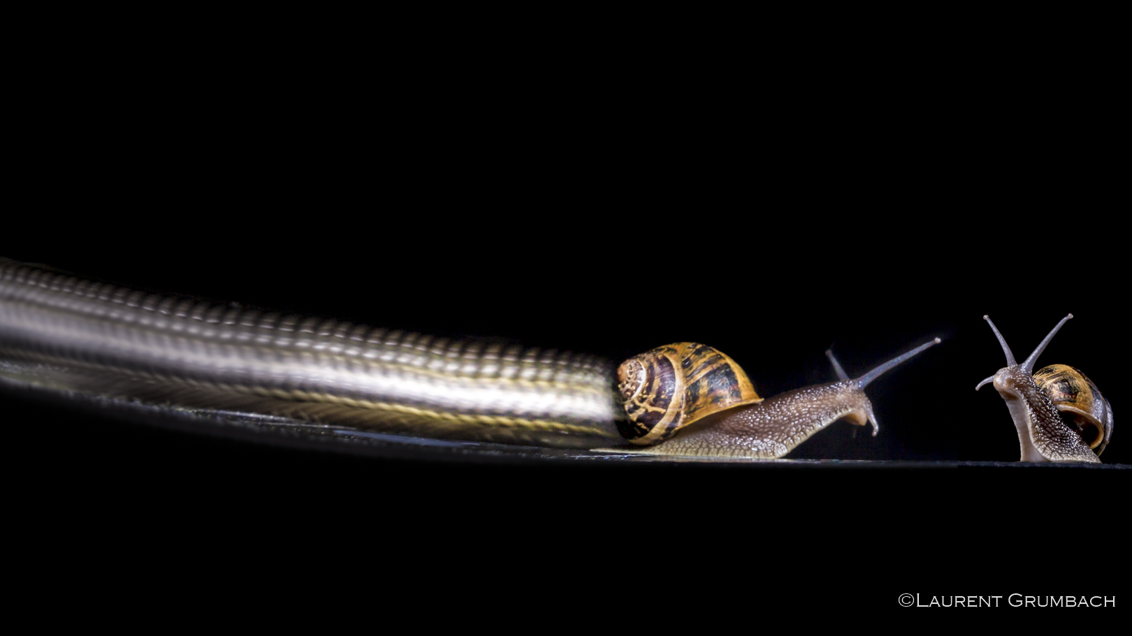 Photographie Motion Sculpture montrant la trajectoire d’un mouvement par la lumière