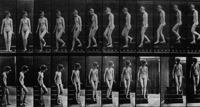 Chronophotographies d’Eadweard MUYBRIDGE, Nu-descendant un escalier,1887