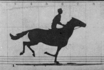 Le cheval en mouvement – Muybridge