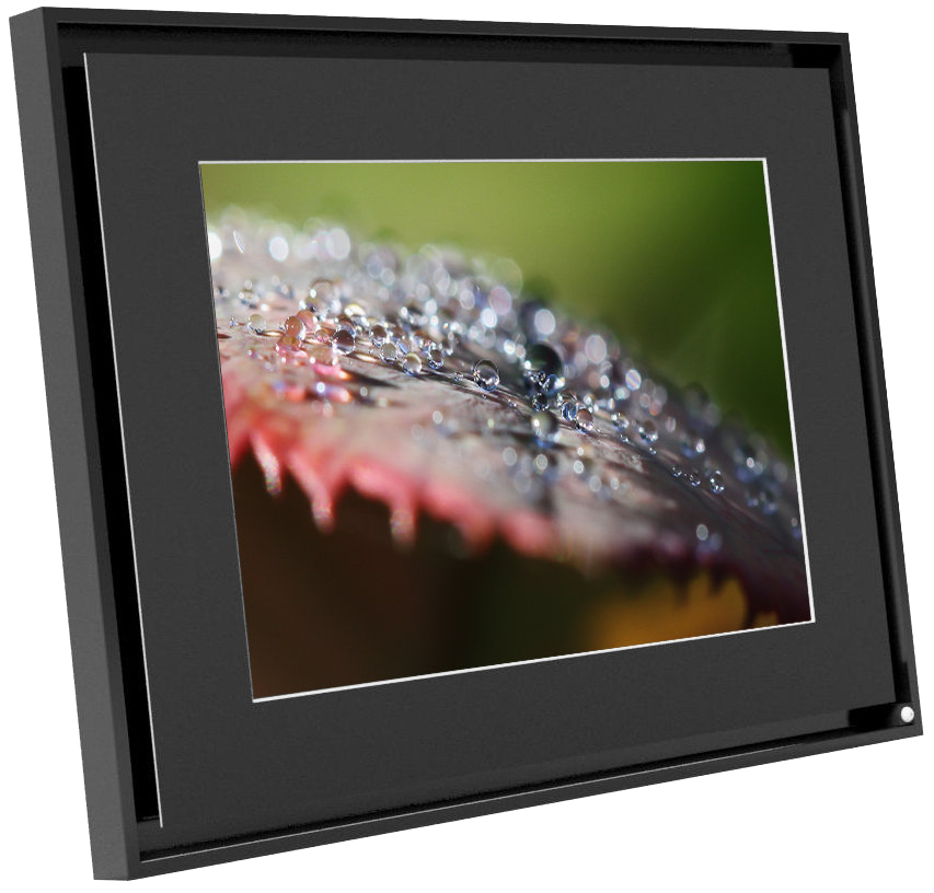 Cadre photo Numérique